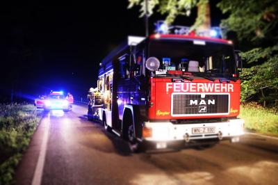 Manholzweiler: Golf kracht auf Landstrasse gegen Baum - Fahrer toedlich verletzt 